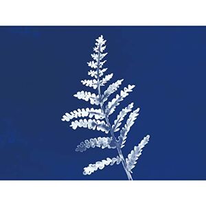 Wee Blue Coo Cobalt Botanics Plant Fern Watercolour Large Wall Art Poster Print Thick Paper 18X24 Inch Wee Blue Coo Cobalt Botanics Plant Fern Watercolour Large Wall Art Poster Print Thick Paper 18X24 Inch