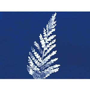 Wee Blue Coo Cobalt Botanics Fern Frond Watercolour Large Wall Art Poster Print Thick Paper 18X24 Inch Wee Blue Coo Cobalt Botanics Fern Frond Watercolour Large Wall Art Poster Print Thick Paper 18X24 Inch