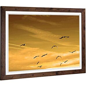 Big Box Art Framed Print of Flying Seagulls Sunset Birds Design Wall Art Picture Home Decor for Kitchen, Living, Dining Room, Bedroom, Hallway, Office, Walnut, A2 / 24.5x18 Inch / 62x45cm Big Box Art Framed Print of Flying Seagulls Sunset Birds Design Wall Art Picture Home Decor for Kitchen, Living, Dining Room, Bedroom, Hallway, Office, Walnut, A2 / 24.5x18 Inch / 62x45cm