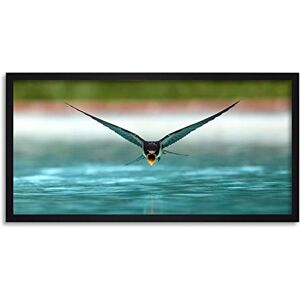 Artery8 Sanchezn Swallow Bird Drinking Swimming Pool Photo Framed Wall Art Print Long 25X12 Inch Artery8 Sanchezn Swallow Bird Drinking Swimming Pool Photo Framed Wall Art Print Long 25X12 Inch