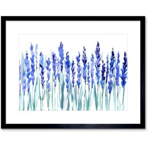 Wee Blue Coo Flowers Lavender Watercolour Art Print Framed Poster Wall Decor 12x16 inch Wee Blue Coo Flowers Lavender Watercolour Art Print Framed Poster Wall Decor 12x16 inch