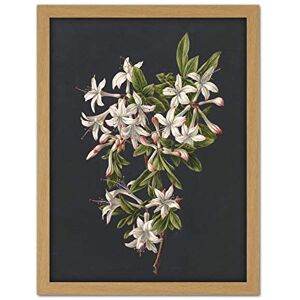 Artery8 De Gijselaar Branch Of Azaleas In Bloom Flowers Artwork Framed Wall Art Print 18X24 Inch Artery8 De Gijselaar Branch Of Azaleas In Bloom Flowers Artwork Framed Wall Art Print 18X24 Inch