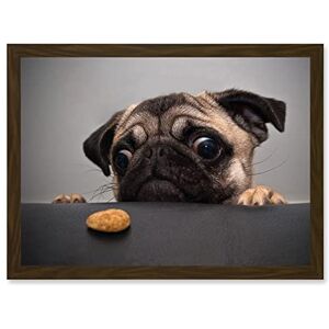 Artery8 - Animal Photo Pug Dog - Brown - A4 - Framed Wall Art Artery8 - Animal Photo Pug Dog - Brown - A4 - Framed Wall Art