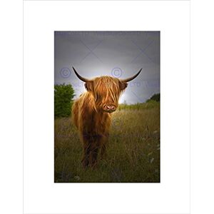Wee Blue Coo Photo Farm Livestock Animal Highland Cow Calf Scotland Wall Art Print Wee Blue Coo Photo Farm Livestock Animal Highland Cow Calf Scotland Wall Art Print