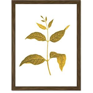 Wee Blue Coo Botanics Gold And Grey Leaves Large Brown Framed Art Print Wall Poster 18x24 inch Wee Blue Coo Botanics Gold And Grey Leaves Large Brown Framed Art Print Wall Poster 18x24 inch