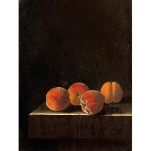 Artery8 Coorte Four Apricots On A Stone Plinth Painting Premium Wall Art Canvas Print 18X24 Inch Artery8 Coorte Four Apricots On A Stone Plinth Painting Premium Wall Art Canvas Print 18X24 Inch