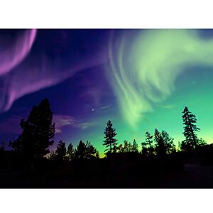 Fine Art Prints Pine Trees Silhouette Northern Lights Large Wall Art Print Canvas Premium Poster, 18 x 24 inches Fine Art Prints Pine Trees Silhouette Northern Lights Large Wall Art Print Canvas Premium Poster, 18 x 24 inches