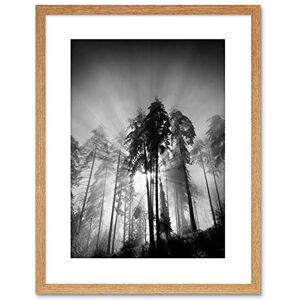 Wee Blue Coo 9x7 '' TREES LIGHT FOG BLACK WHITE FRAMED ART PRINT PICTURE MOUNT PHOTO F97X1561 Wee Blue Coo 9x7 '' TREES LIGHT FOG BLACK WHITE FRAMED ART PRINT PICTURE MOUNT PHOTO F97X1561