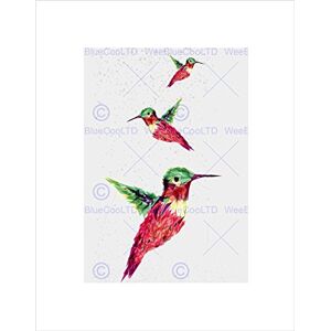 Wee Blue Coo PAINTING ILLUSTRATION TRIO POLYGON HUMMINGBIRD FRAMED ART PRINT MOUNT B12X13627 Wee Blue Coo PAINTING ILLUSTRATION TRIO POLYGON HUMMINGBIRD FRAMED ART PRINT MOUNT B12X13627
