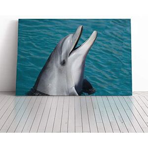 Big Box Art Dolphin (2) Canvas Print Gallery Wrapped 30mm Frame Wall Art 20x14 inches Ready to Hang Modern Animals Picture Living Room Bedroom Lounge Office Big Box Art Dolphin (2) Canvas Print Gallery Wrapped 30mm Frame Wall Art 20x14 inches Ready to Hang Modern Animals Picture Living Room Bedroom Lounge Office