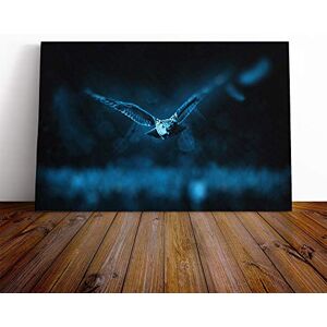 Big Box Art Flying Owl Canvas Print Gallery Wrapped 30mm Frame Wall Art 20x14 inches Ready to Hang Modern Animals Picture Living Room Bedroom Lounge Office Big Box Art Flying Owl Canvas Print Gallery Wrapped 30mm Frame Wall Art 20x14 inches Ready to Hang Modern Animals Picture Living Room Bedroom Lounge Office