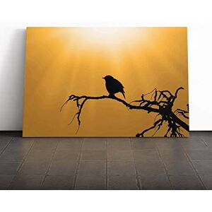 Big Box Art Sparrow Bird (1) Canvas Print Gallery Wrapped 30mm Frame Wall Art 24x16 inches Ready to Hang Modern Animals Picture Living Room Bedroom Lounge Office Big Box Art Sparrow Bird (1) Canvas Print Gallery Wrapped 30mm Frame Wall Art 24x16 inches Ready to Hang Modern Animals Picture Living Room Bedroom Lounge Office