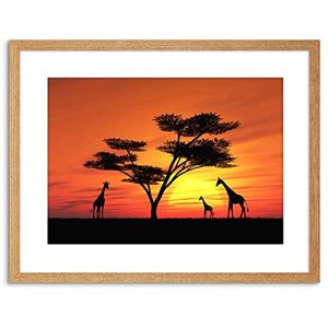 Wee Blue Coo Photo Composition African Sun Silhouette Giraffe Framed Wall Art Print Wee Blue Coo Photo Composition African Sun Silhouette Giraffe Framed Wall Art Print