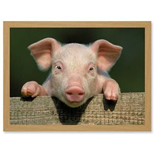 Artery8 - Pig Piglet - Pink - A4 - Framed Wall Art Artery8 - Pig Piglet - Pink - A4 - Framed Wall Art