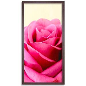 Wee Blue Coo Rose Flower Pink Petals Long Panel Framed Wall Art Print Wee Blue Coo Rose Flower Pink Petals Long Panel Framed Wall Art Print