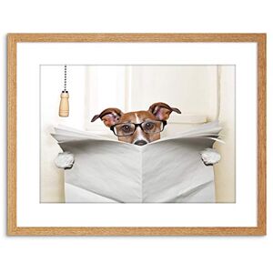 Wee Blue Coo Photo Mock Jack Russell Toilet Reading Newspaper Art Print Framed Poster Wall Decor 9x7 inch Wee Blue Coo Photo Mock Jack Russell Toilet Reading Newspaper Art Print Framed Poster Wall Decor 9x7 inch