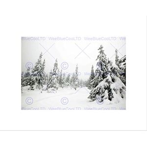 Wee Blue Coo Photo Landscape Winter Scene Snow Forest Trees Wall Art Print Wee Blue Coo Photo Landscape Winter Scene Snow Forest Trees Wall Art Print
