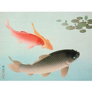 Fine Art Prints Ohara Common Golden Carp Fish Japan Painting Large Wall Art Poster Print Thick Paper 18X24 Inch Fine Art Prints Ohara Common Golden Carp Fish Japan Painting Large Wall Art Poster Print Thick Paper 18X24 Inch