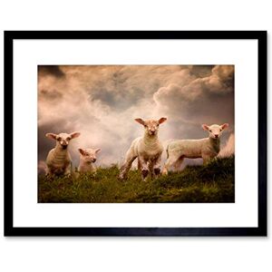 Wee Blue Coo Lambs Sheep Farm Animal Cloud Art Picture Framed Wall Art Print Wee Blue Coo Lambs Sheep Farm Animal Cloud Art Picture Framed Wall Art Print