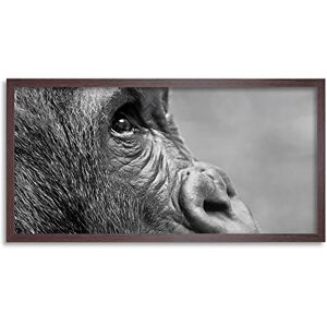 Artery8 Gorilla Ape Face Head Photo Framed Wall Art Print Long 25X12 Inch Artery8 Gorilla Ape Face Head Photo Framed Wall Art Print Long 25X12 Inch