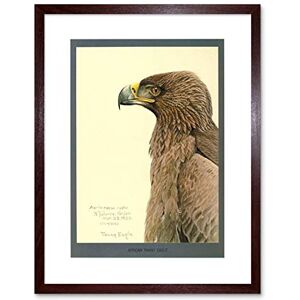 Wee Blue Coo Painting Abyssinia Bird Mammal Fuertes African Tawny Eagle Framed Wall Art Print Wee Blue Coo Painting Abyssinia Bird Mammal Fuertes African Tawny Eagle Framed Wall Art Print