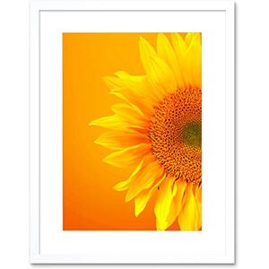 Wee Blue Coo Single Sunflower Bloom Orange Yellow Picture Framed Wall Art Print Wee Blue Coo Single Sunflower Bloom Orange Yellow Picture Framed Wall Art Print