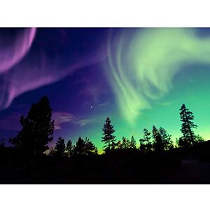 Fine Art Prints Pine Trees Silhouette Northern Lights Art Print Canvas Premium Wall Decor Poster Fine Art Prints Pine Trees Silhouette Northern Lights Art Print Canvas Premium Wall Decor Poster