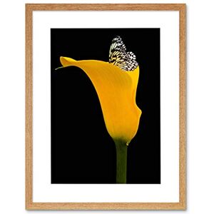 Wee Blue Coo Yellow Flower Black White Butterfly Photo Framed Art Print Picture F12X1932 Wee Blue Coo Yellow Flower Black White Butterfly Photo Framed Art Print Picture F12X1932