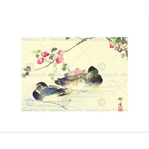 Wee Blue Coo NATURE JAPAN ABSTRACT MALLARD DUCK BIRD KOGYO BLACK FRAMED ART PRINT B12X4044 Wee Blue Coo NATURE JAPAN ABSTRACT MALLARD DUCK BIRD KOGYO BLACK FRAMED ART PRINT B12X4044