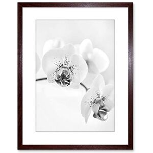 Wee Blue Coo Photo Nature Plant Orchid Flower Black White Framed Wall Art Print Wee Blue Coo Photo Nature Plant Orchid Flower Black White Framed Wall Art Print