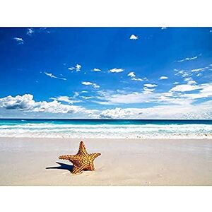 Wee Blue Coo MP PHOTOGRAPHY SEASCAPE COMPOSITION STARFISH BEACH CLOUD SURF SAND 18x24 INCH ART POSTER PRINT PICTURE LV6460 Wee Blue Coo MP PHOTOGRAPHY SEASCAPE COMPOSITION STARFISH BEACH CLOUD SURF SAND 18x24 INCH ART POSTER PRINT PICTURE LV6460