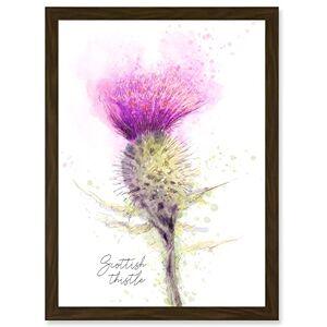 Wee Blue Coo Scottish Thistle Flower Head Watercolour Scotland A4 Artwork Framed Wall Art Print Wee Blue Coo Scottish Thistle Flower Head Watercolour Scotland A4 Artwork Framed Wall Art Print