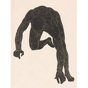 Artery8 Stolk Anatomical Study Neck Arm Leg Muscles Man Premium Wall Art Canvas Print 18X24 Inch Artery8 Stolk Anatomical Study Neck Arm Leg Muscles Man Premium Wall Art Canvas Print 18X24 Inch