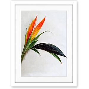 Wee Blue Coo Tropical Plant Bird Of Paradise Flower Botanical Bloom Artwork Framed Wall Art Print 18X24 Inch Wee Blue Coo Tropical Plant Bird Of Paradise Flower Botanical Bloom Artwork Framed Wall Art Print 18X24 Inch