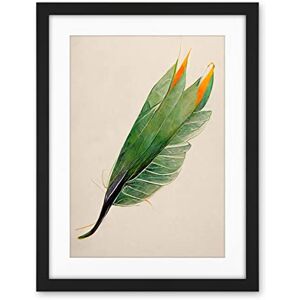 Wee Blue Coo Tropical Bird Of Paradise Leaf Botanical Illustration Artwork Framed Wall Art Print 18X24 Inch Wee Blue Coo Tropical Bird Of Paradise Leaf Botanical Illustration Artwork Framed Wall Art Print 18X24 Inch