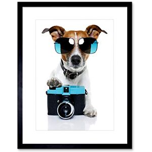 Wee Blue Coo Jack Russell Dog Shades Cameragrapher Picture Framed Wall Art Print Wee Blue Coo Jack Russell Dog Shades Cameragrapher Picture Framed Wall Art Print