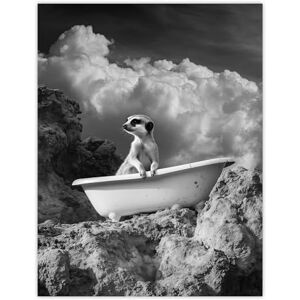 Artery8 Meerkat in Bathtub Surreal Bath Time Black White Bathroom Toilet Extra Large XL Wall Art Poster Print Artery8 Meerkat in Bathtub Surreal Bath Time Black White Bathroom Toilet Extra Large XL Wall Art Poster Print