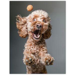 Artery8 Funny Cockapoo Dog Lover Treat Catch Photo For Living Room Extra Large XL Wall Art Poster Print Artery8 Funny Cockapoo Dog Lover Treat Catch Photo For Living Room Extra Large XL Wall Art Poster Print