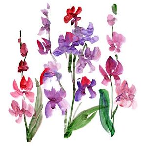 Wee Blue Coo Flower Orchid Watercolour Large Wall Art Print Canvas Premium Poster Wee Blue Coo Flower Orchid Watercolour Large Wall Art Print Canvas Premium Poster