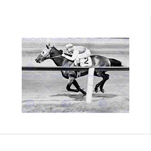 Wee Blue Coo Sport Pollard Jockey Seabiscuit Yonkers Empire City Race Wall Art Print Wee Blue Coo Sport Pollard Jockey Seabiscuit Yonkers Empire City Race Wall Art Print
