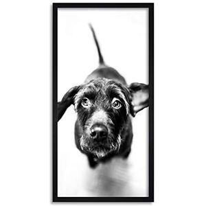 Wee Blue Coo Cute Puppy Dog Long Panel Framed Wall Art Print Wee Blue Coo Cute Puppy Dog Long Panel Framed Wall Art Print