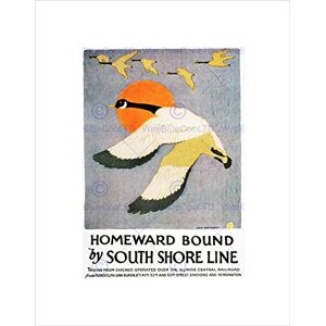 Wee Blue Coo TRAVEL ILLINOIS RAIL CHICAGO GOOSE VINTAGE AD BLACK FRAMED ART PRINT B12X1595 Wee Blue Coo TRAVEL ILLINOIS RAIL CHICAGO GOOSE VINTAGE AD BLACK FRAMED ART PRINT B12X1595