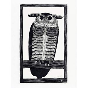 Wee Blue Coo Samuel Jessurun De Mesquita Horned Owl Premium Wall Art Canvas Print 18X24 Inch Wee Blue Coo Samuel Jessurun De Mesquita Horned Owl Premium Wall Art Canvas Print 18X24 Inch