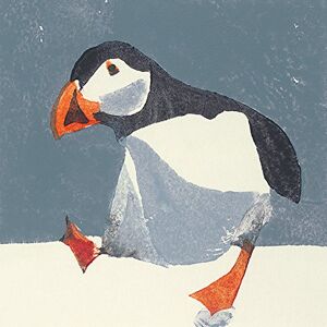 The Art Group Julia Burns (Puffin) -Canvas Print 40 x 40cm, Wood, Multicolour, 40 x 40 x 1.3 cm The Art Group Julia Burns (Puffin) -Canvas Print 40 x 40cm, Wood, Multicolour, 40 x 40 x 1.3 cm