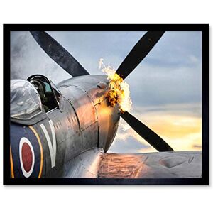 Fine Art Prints Taylor Military UK Spitfire TE311 Fighter Plane Photo Art Print Framed Poster Wall Decor 12x16 inch Fine Art Prints Taylor Military UK Spitfire TE311 Fighter Plane Photo Art Print Framed Poster Wall Decor 12x16 inch