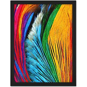 Doppelganger33 LTD Vibrant Rainbow Peacock Feather Abstract Macro Painting Artwork Framed Wall Art Print 18X24 Inch Doppelganger33 LTD Vibrant Rainbow Peacock Feather Abstract Macro Painting Artwork Framed Wall Art Print 18X24 Inch