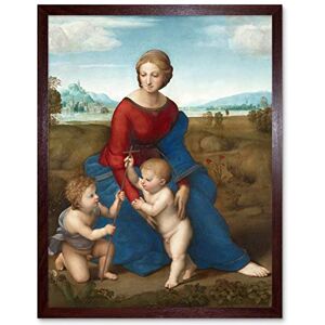 Fine Art Prints Raphael Madonna In The Meadow Art Print Framed Poster Wall Decor 12x16 inch Fine Art Prints Raphael Madonna In The Meadow Art Print Framed Poster Wall Decor 12x16 inch