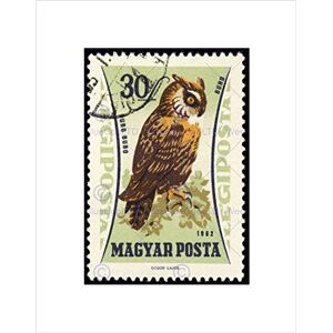 Wee Blue Coo POSTAGE STAMP HUNGARY 30 FORINT EURASIAN EAGLE OWL FRAMED ART PRINT B12X11037 Wee Blue Coo POSTAGE STAMP HUNGARY 30 FORINT EURASIAN EAGLE OWL FRAMED ART PRINT B12X11037