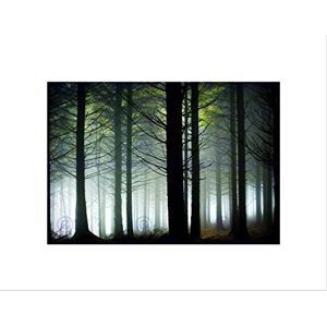 Wee Blue Coo PHOTO LANDSCAPE FOREST PINE TREE SUNSHINE WOOD FRAMED ART PRINT MOUNT B12X13165 Wee Blue Coo PHOTO LANDSCAPE FOREST PINE TREE SUNSHINE WOOD FRAMED ART PRINT MOUNT B12X13165