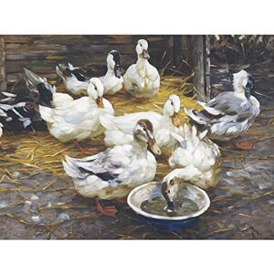 Fine Art Prints Koester Ducks Straw Birds Nature Painting Large Print Poster Wall Art Decor Picture Fine Art Prints Koester Ducks Straw Birds Nature Painting Large Print Poster Wall Art Decor Picture